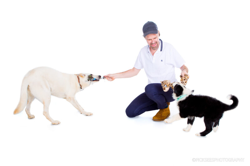 Pretoria East Pet Photographer