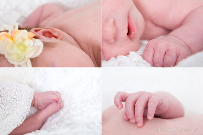 Pretoria East Newborn Baby Photographer