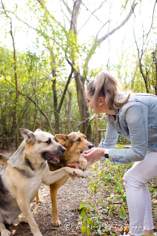 Pretoria East Pet Photographer
