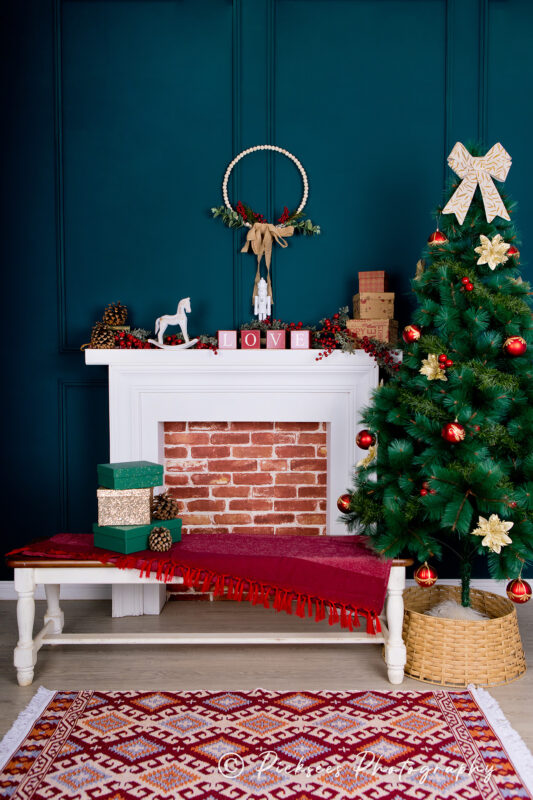 Pretoria East Family Christmas Photos